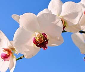 毕节正规助孕捐卵机构，附正规捐卵机构报名表！